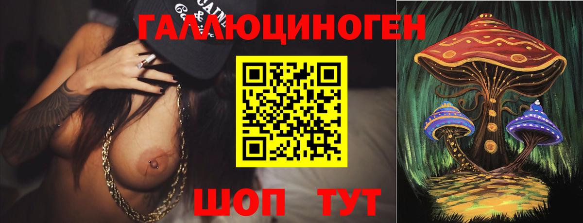 Галлюциногенные грибы Psilocybe Холмск